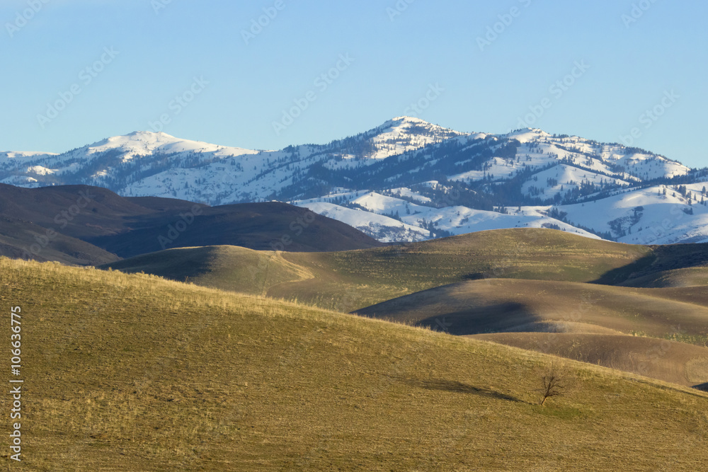 open rolling hills stand before a snow capped mountain