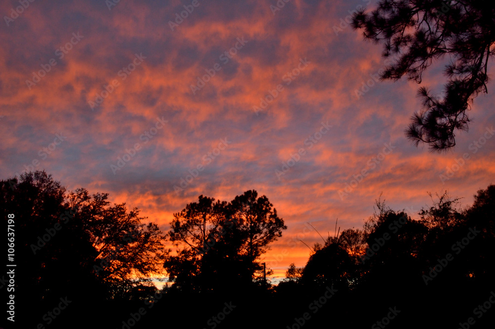 Fototapeta premium Fiery sunset sky, orange and blue