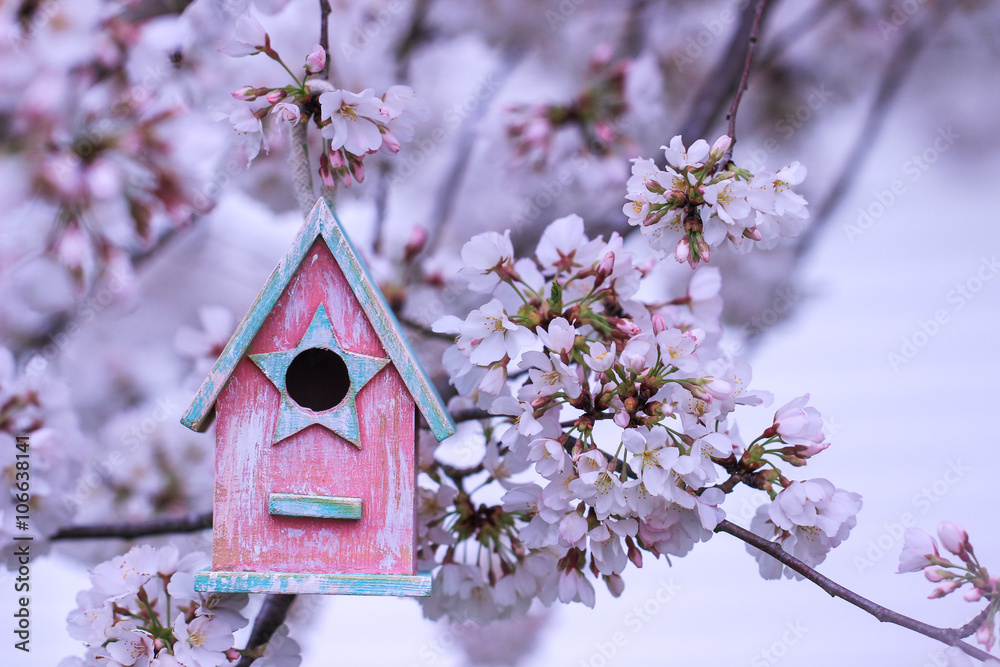 Pink birdhouse hanging in tree with spring flowers