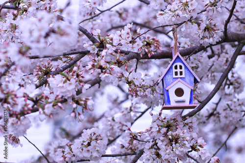 Pink and purple birdhouse hanging in spring flowering tree