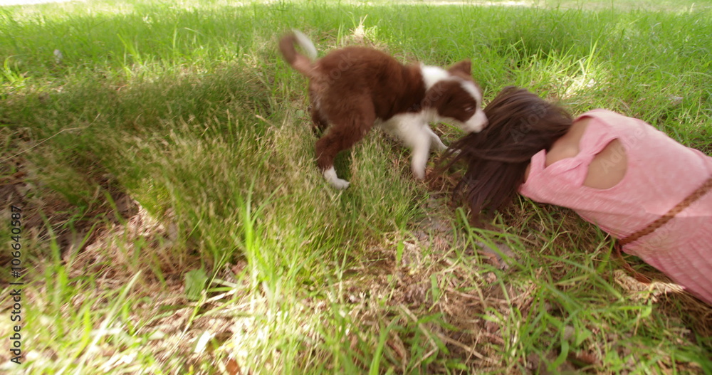 Cute Multi-ethnic girl playing with her puppy on the meadow. Cute Multi-ethnic girl playing with her puppy on the meadow.