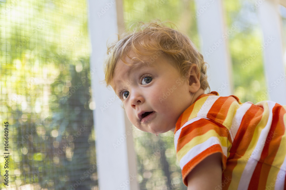Caucasian toddler peering out screen fence Caucasian toddler peering out screen fence