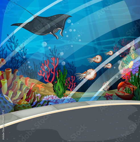 Aquarium with stingray swimming