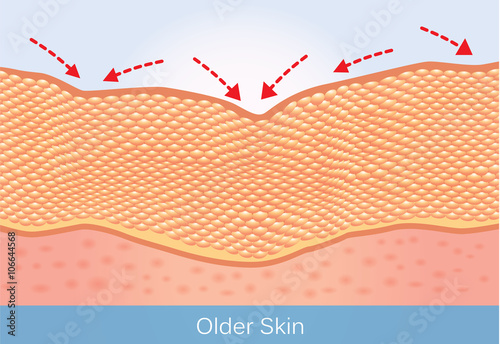 Wrinkles and sagging skin of elderly. This illustration about beauty and health care.