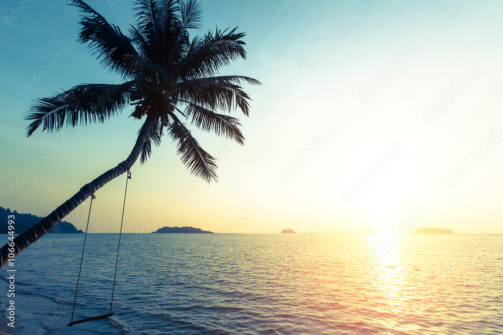 Sunset on the tropical coast, the silhouette of the palm tree over the water.
