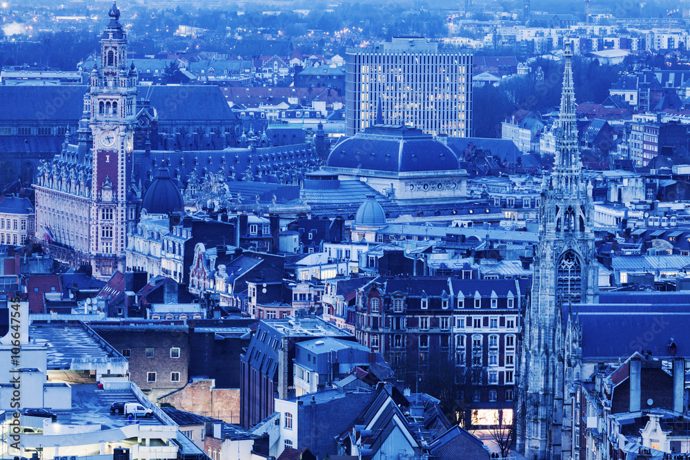 Obraz premium Aerial view of Lille