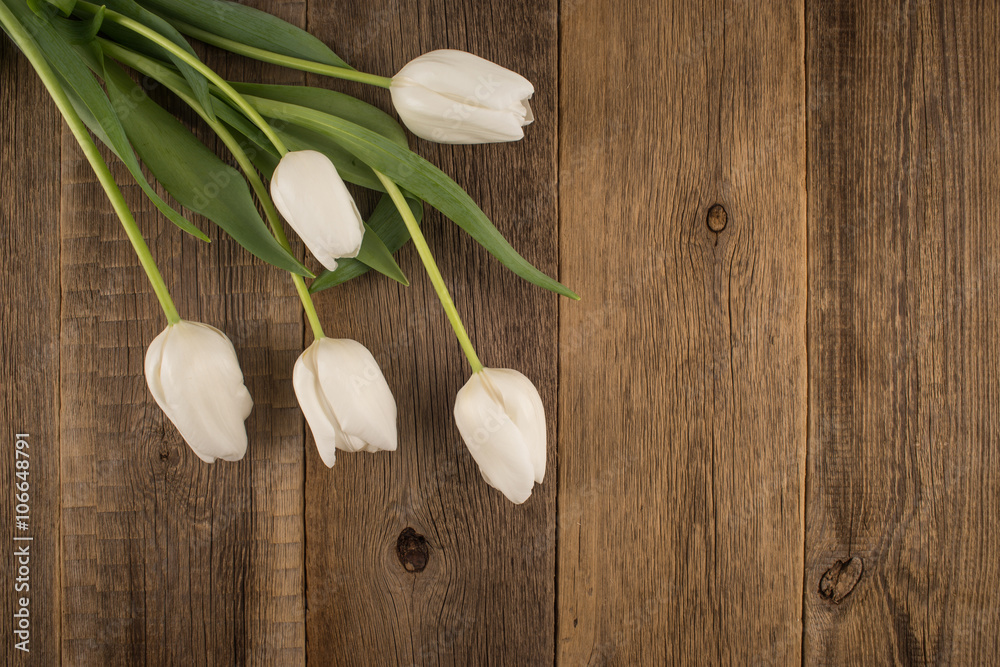White tulips on rustic wooden background White tulips on rustic wooden background