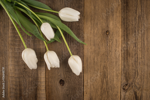 White tulips on rustic wooden background