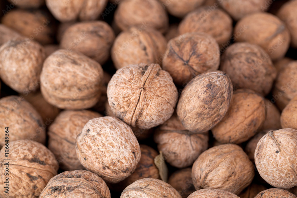 Walnut Walnut