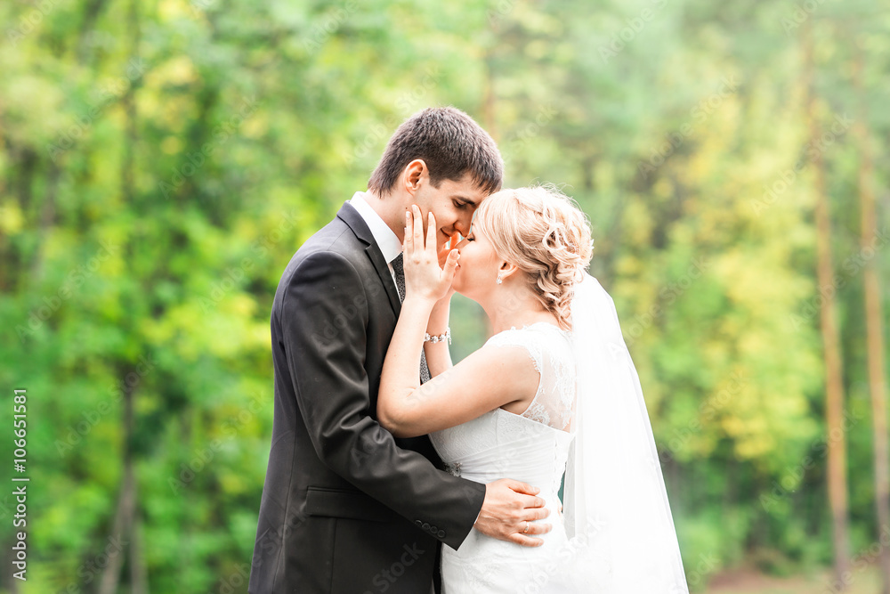 Beautiful Romantic Wedding Couple Kissing and Embracing Outdoors Beautiful Romantic Wedding Couple Kissing and Embracing Outdoors