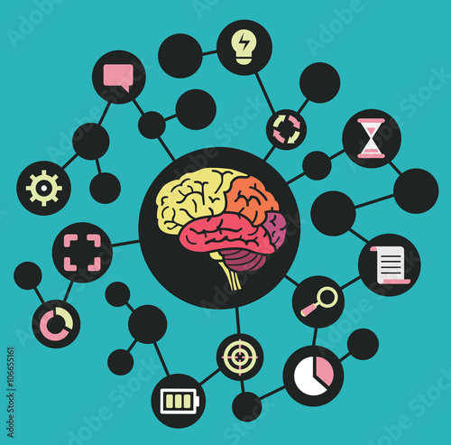 Human resources of brain. Functions and analytical thinking