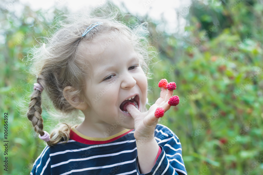 Two years old blonde girl enjoying of eating red garden raspberry fruits Two years old blonde girl enjoying of eating red garden raspberry fruits