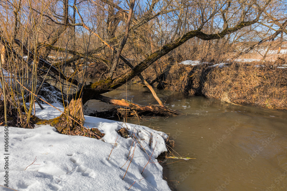Forest river at early spring Forest river at early spring