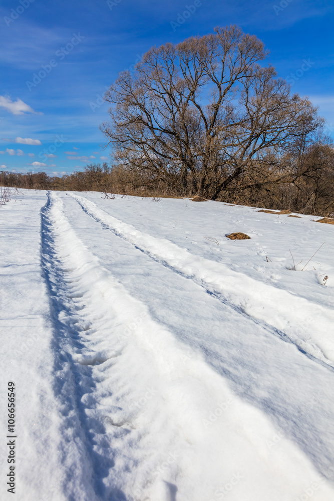 Snow track in the field