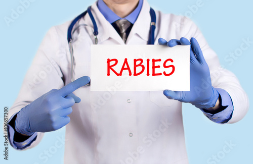 rabies photo