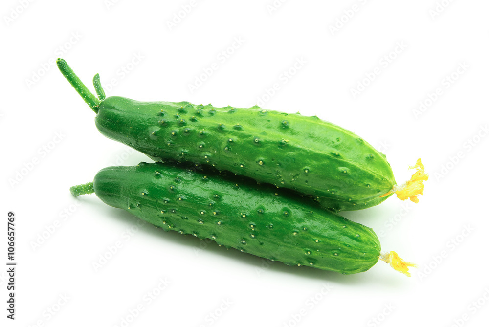 Ripe cucumbers isolated on a white background Ripe cucumbers isolated on a white background