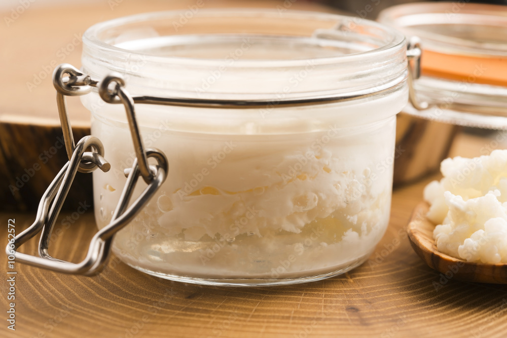 Organic probiotic milk kefir grains Organic probiotic milk kefir grains
