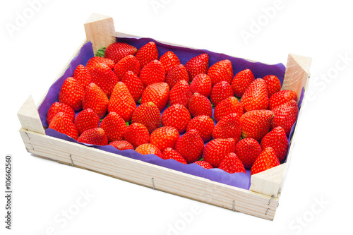 frisch geerntete Erdbeeren