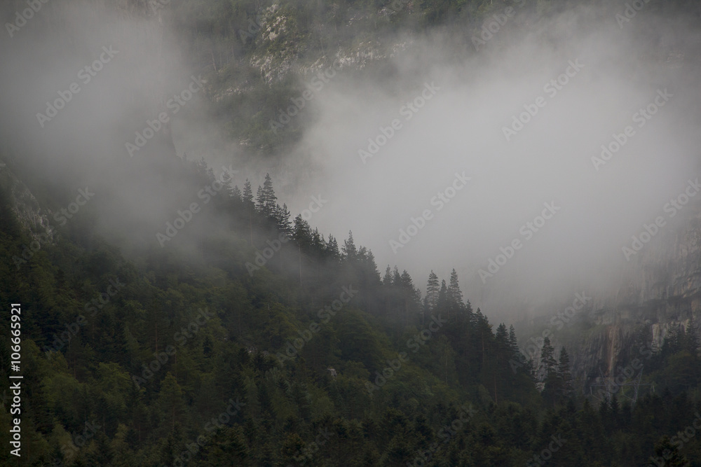 Fog in the mountains
