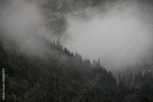Fog in the mountains   © javigarlu
