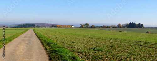 Felder bei Starkenburg im Hunsr  ck Panorama mit Weg  