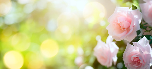 art Abstract spring or summer floral background