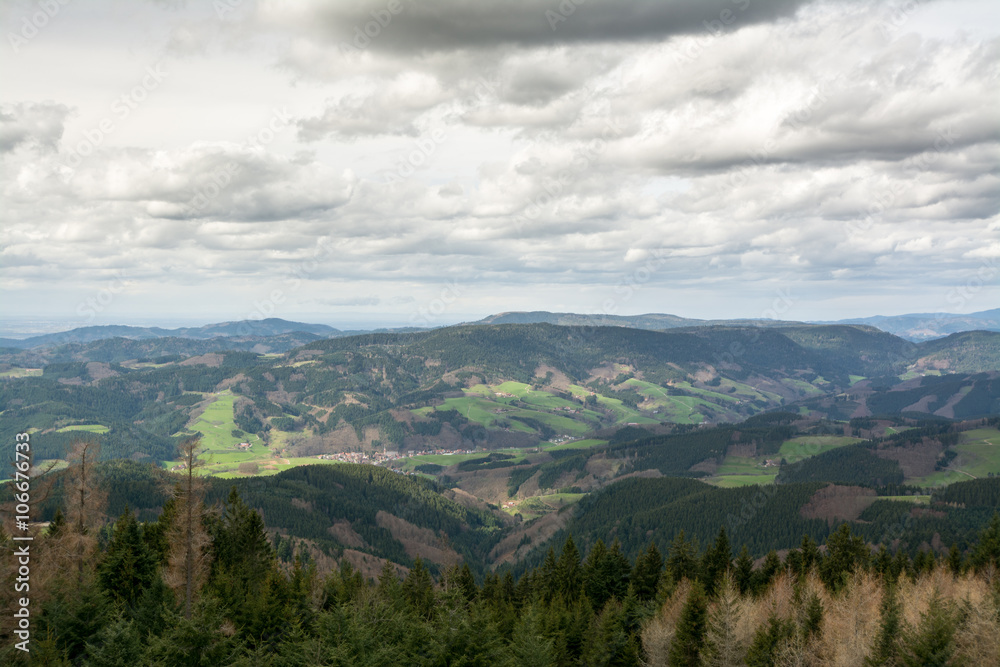 Schliffkopf - Schwarzwald Schliffkopf - Schwarzwald