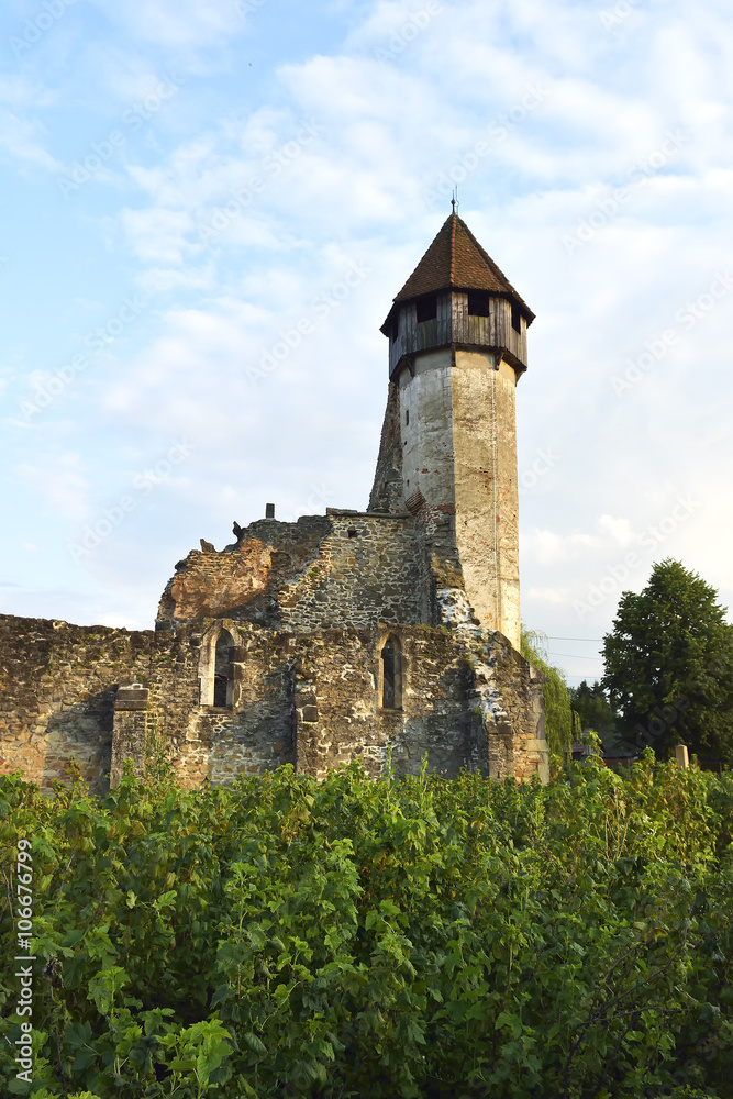 Fototapeta premium Cirta Monastery is a former Cistercian (Benedictine) monastery in southern Transylvania. The monastery was probably founded in 1202-1206 by monks from Igris? abbey (daughter house of Pontigny abbey)