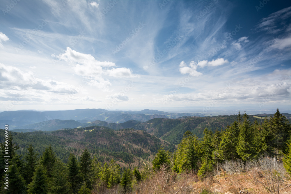 Schliffkopf - Schwarzwald