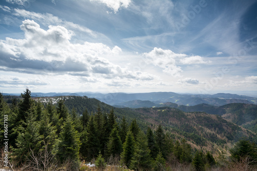 Schliffkopf - Schwarzwald