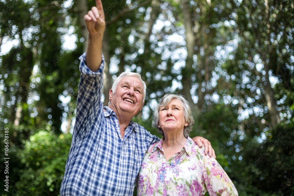 Senior man pointing while standing by wife in back yard Senior man pointing while standing by wife in back yard