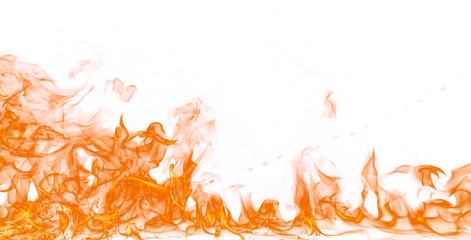 Fire flames on white background