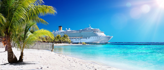 Cruise To Caribbean With Palm tree On Coral Beach
