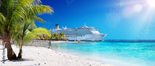 Fotografering Cruise To Caribbean With Palm tree On Coral Beach