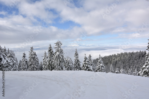 Postavaru Mountains in winter. The altitude of the peak is 1799 meters. Poiana Brasov, Romania © brszattila