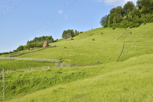 mountain landscape in summer morning, Romania, Fundatura Ponorului