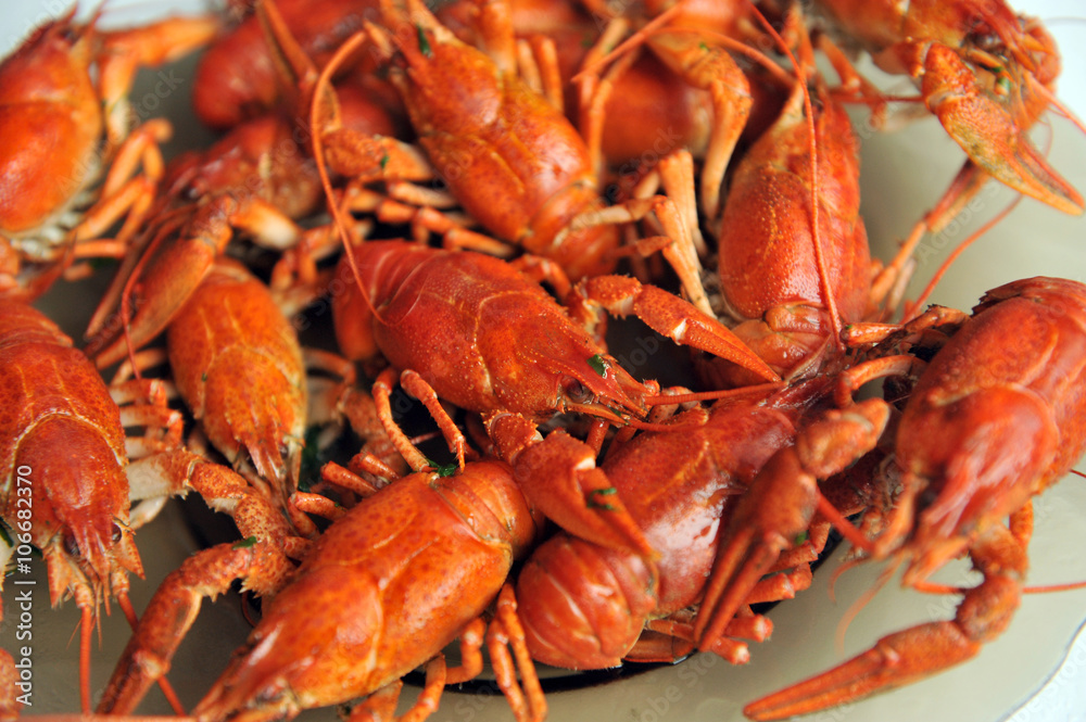 cooked Crayfish isolated on a white background. cooked Crayfish isolated on a white background.