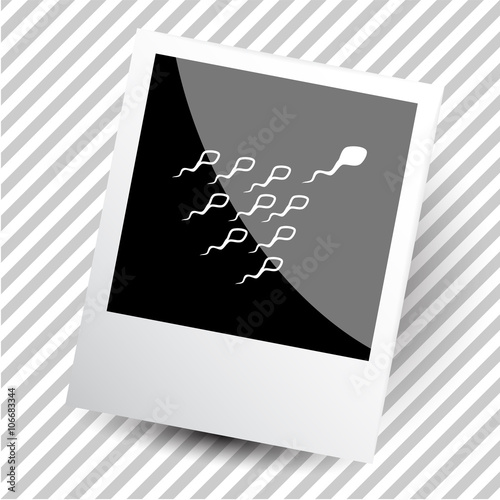 spermatozoon.