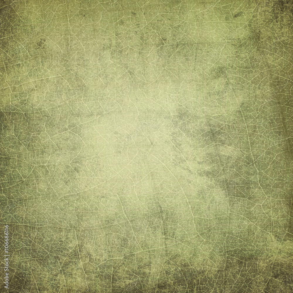 Obraz premium grunge background