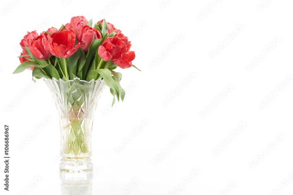 Bouquet of red fresh spring tulip flowers in vase on left side.