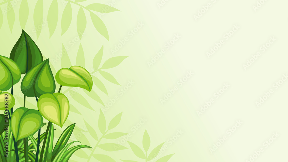 Obraz premium Illustration jungle background 