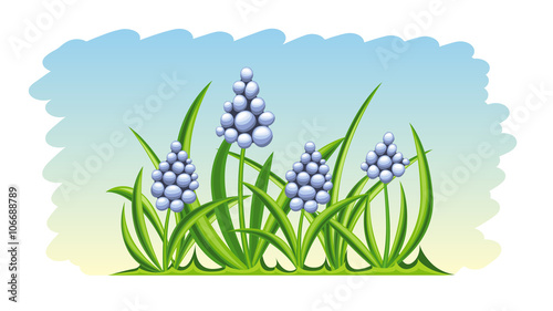 Spring flowers nature background