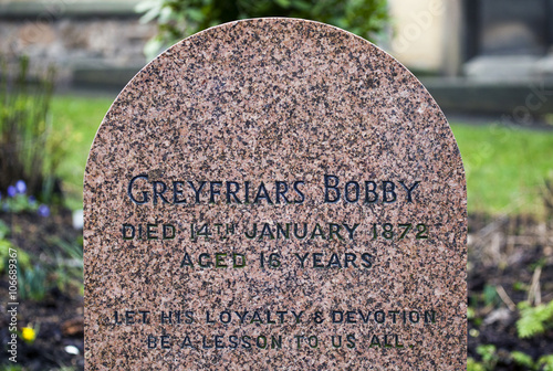 Greyfriars Bobby Grave in Edinburgh, Scotland. photo