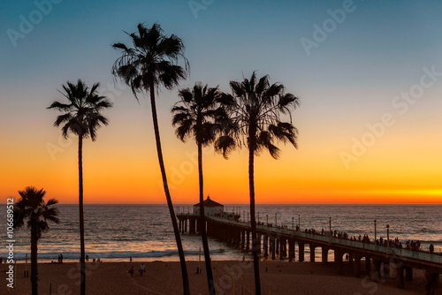 California beach at Sunset. Palm trees on Manhattan beach at sunset and pier, Los Angeles, California.