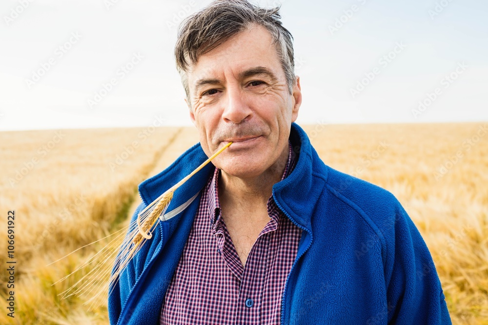 Portrait of farmer holding a ear of wheat in mouth Stock Photo Adobe