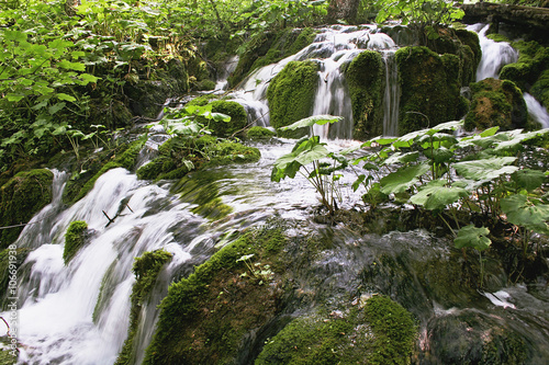 cascata ruscello nel bosco