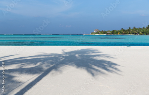 Fototapeta Naklejka Na Ścianę i Meble -  maldives island beach with palm tree and villa