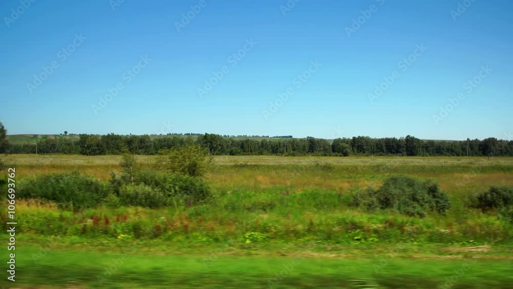 POV: Moving along a wild field and forest on the background in Altay, Russia POV: Moving along a wild field and forest on the background in Altay, Russia