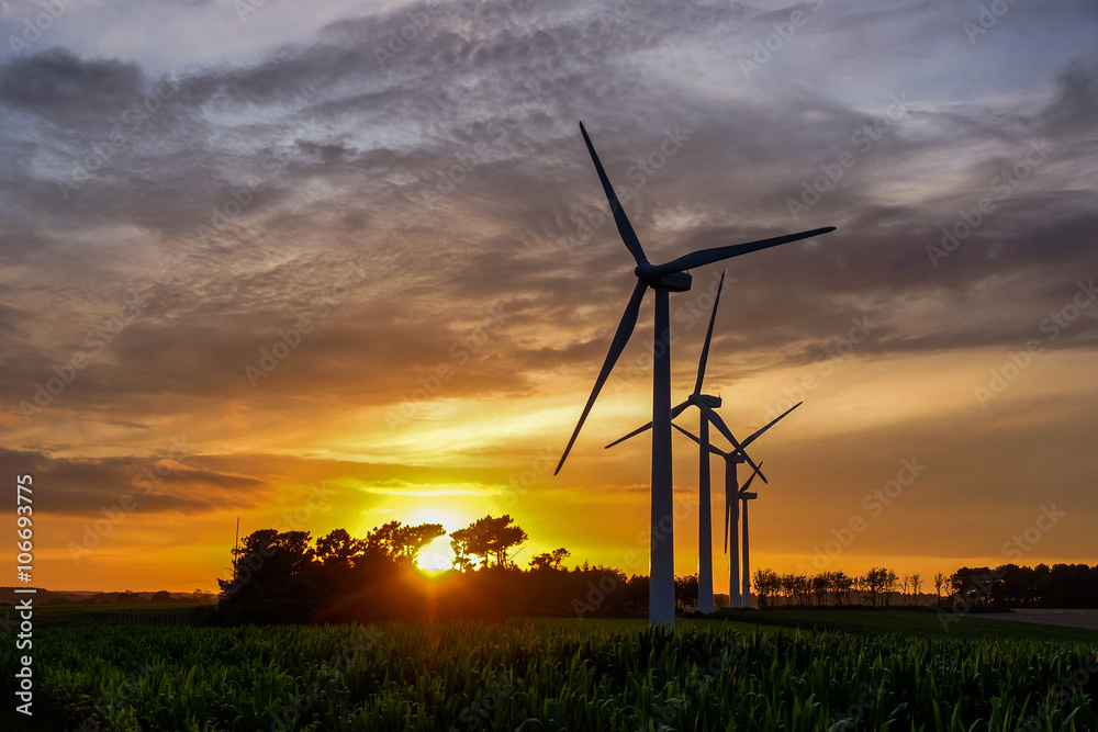 Obraz premium Éolienne