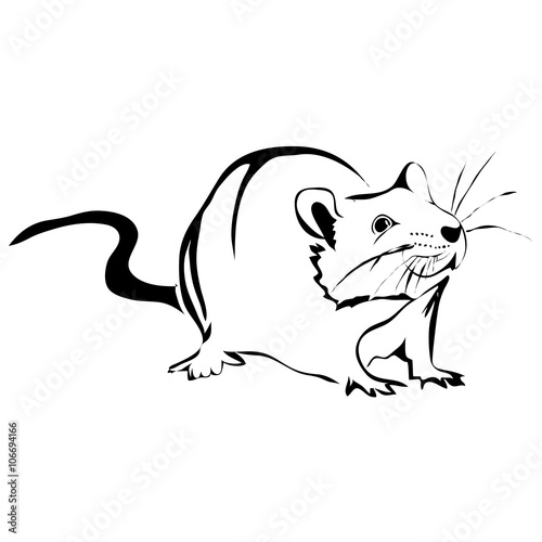 Outline rat vector image. Can be use for logo and tattoo
